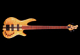 Wyn Guitars #09454