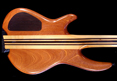 Wyn Guitars #09454