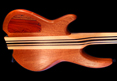 Wyn Guitars #09460