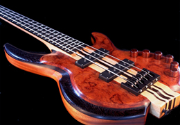 Wyn Guitars #09463