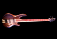 Wyn Guitars #09464