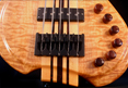 Wyn Guitars #09553