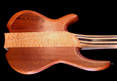Wyn Guitars #09559