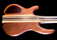 Wyn Guitars #09567
